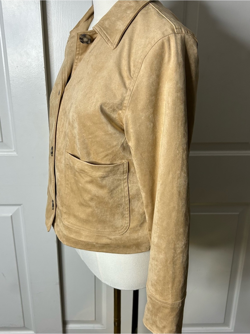 NWT (Size M) BAGATELLE
Suede Collared Jacket - Picture 6 of 9